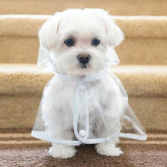 Waterproof Machiko Dog Rain Coat