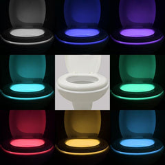 16-Colour Motion Sensor LED Toilet Night Light