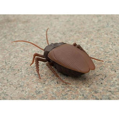 Remote Control Cockroach