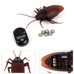 Remote Control Cockroach