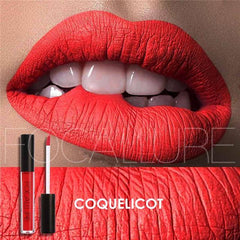 Focallure Waterproof Liquid Lipstick Matte(Smudge Proof Lipstick)